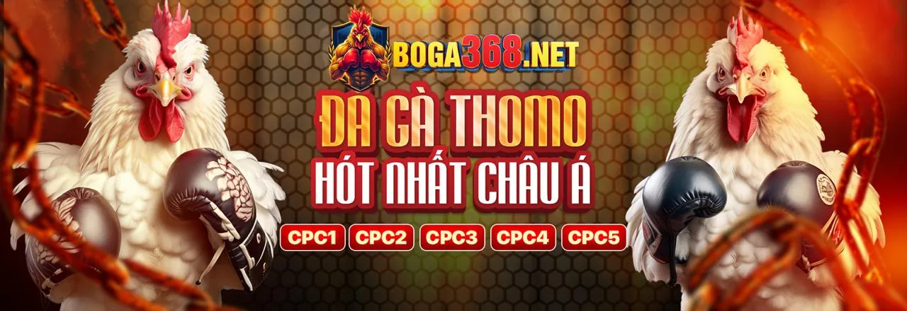 Mã hóa dữ liệu và bảo mật thông tin người dùng